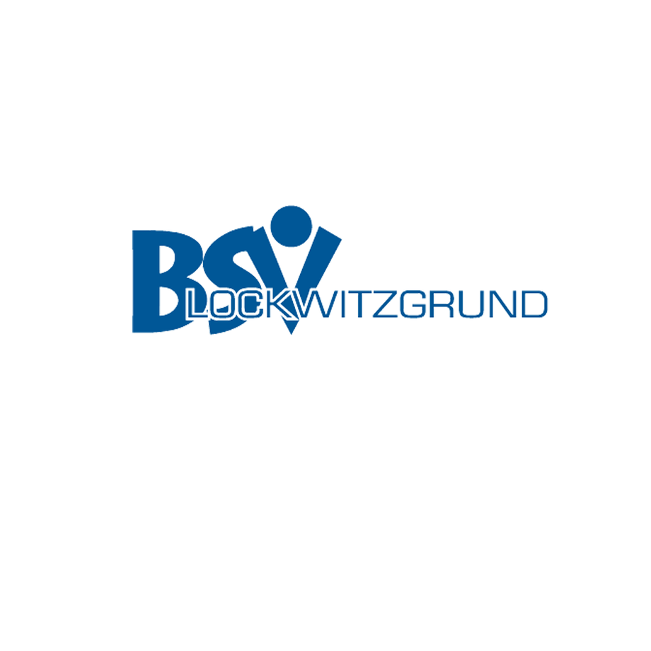 Logo Ballsportverein Lockwitzgrund