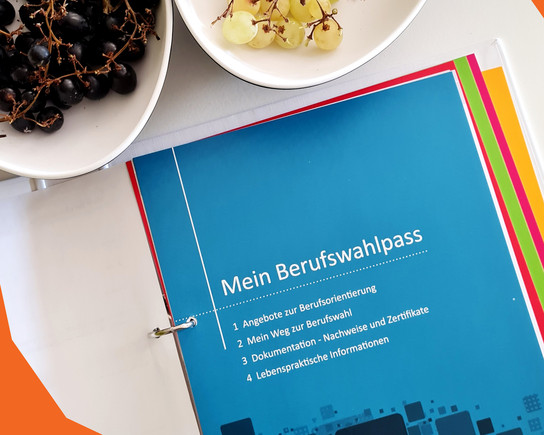Zwei Schalen mit Trauben und ein Informationsheft auf einem Tisch.